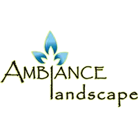 Ambiance Landscape